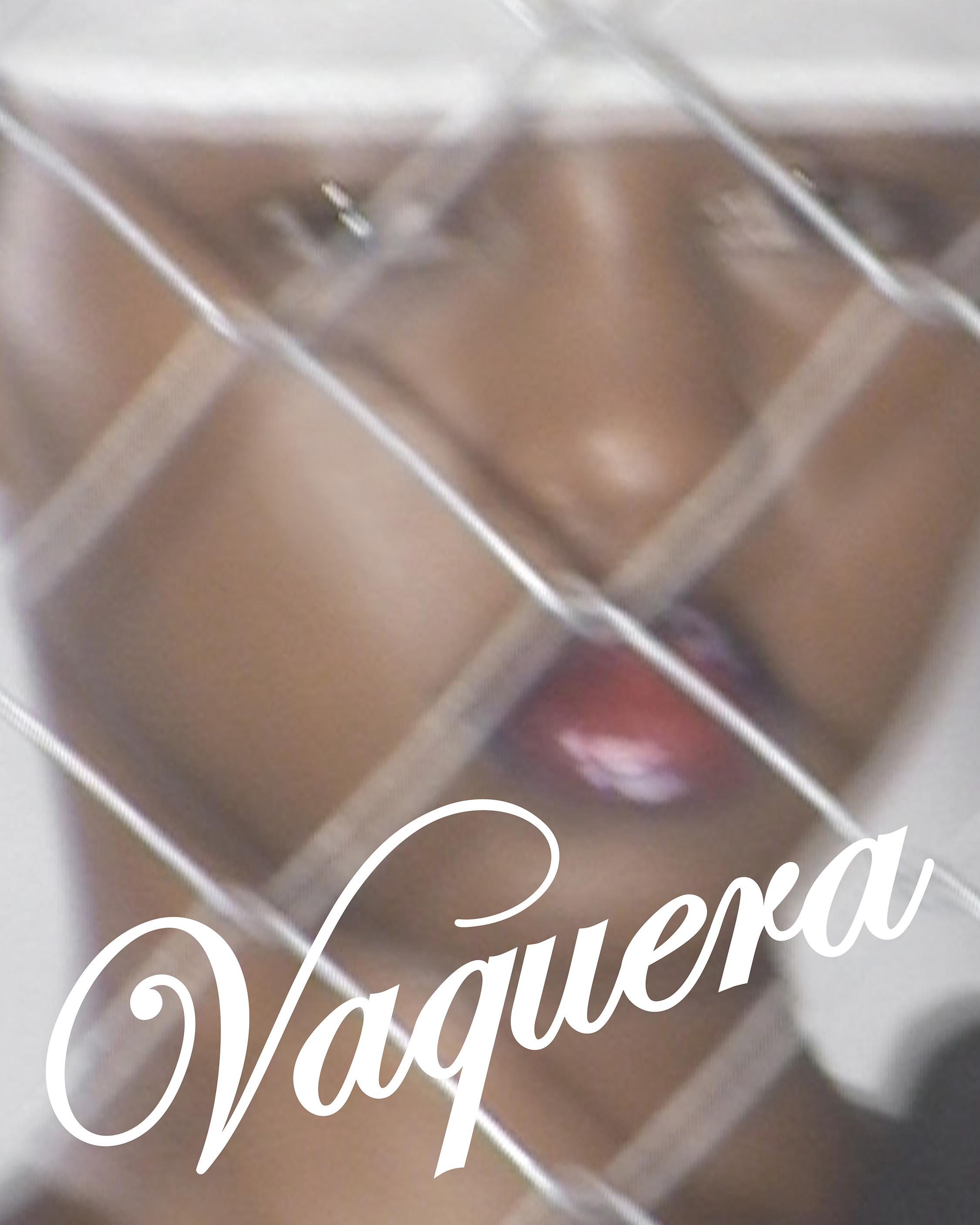 Vaquera image 2